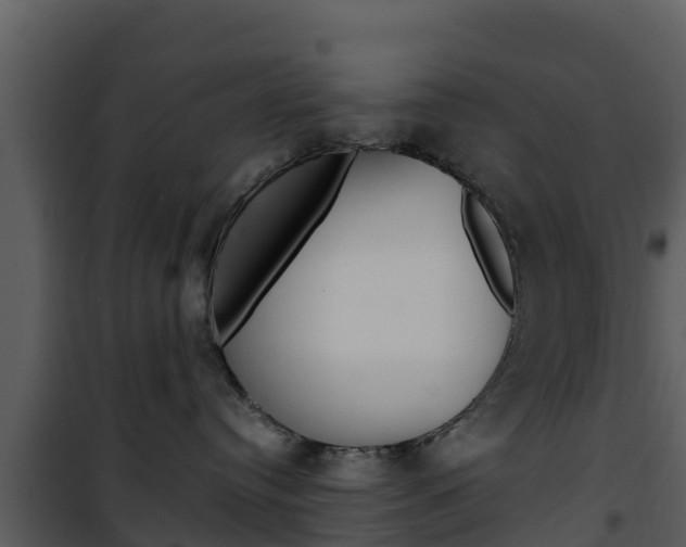 X0000101990384200807180830