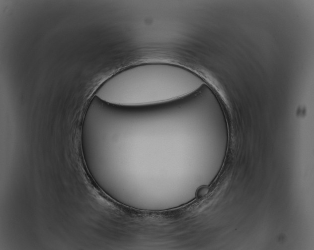 X0000101990385200807180830