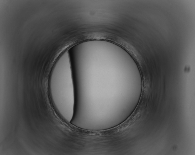 X0000101990386200807180830