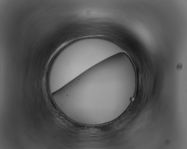 X0000101990387200807180830