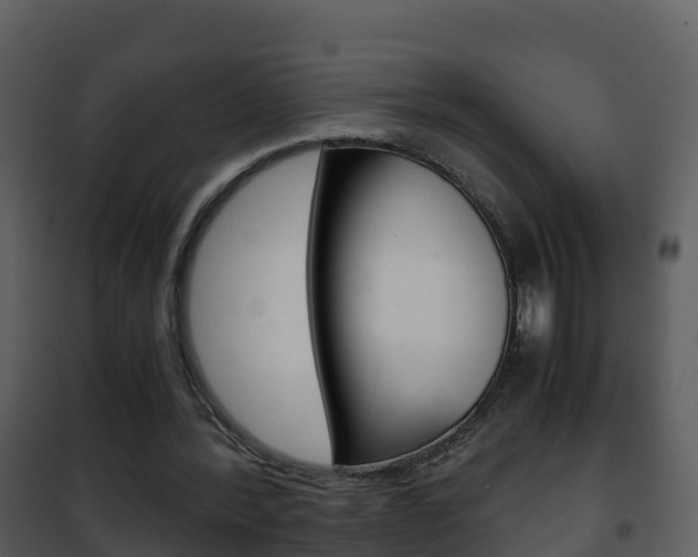 X0000101990388200807180830