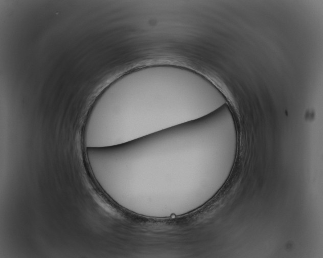 X0000101990389200807180830