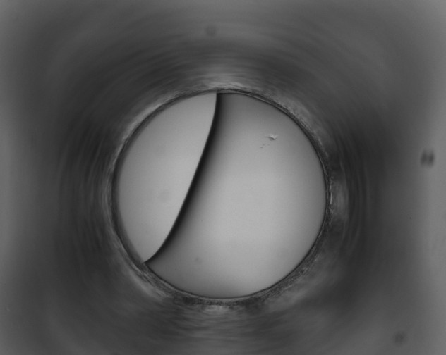 X0000101990390200807180830