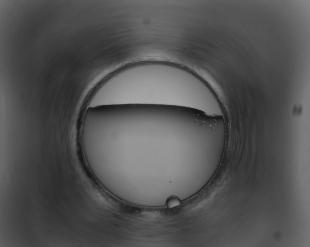 X0000101990391200807180830