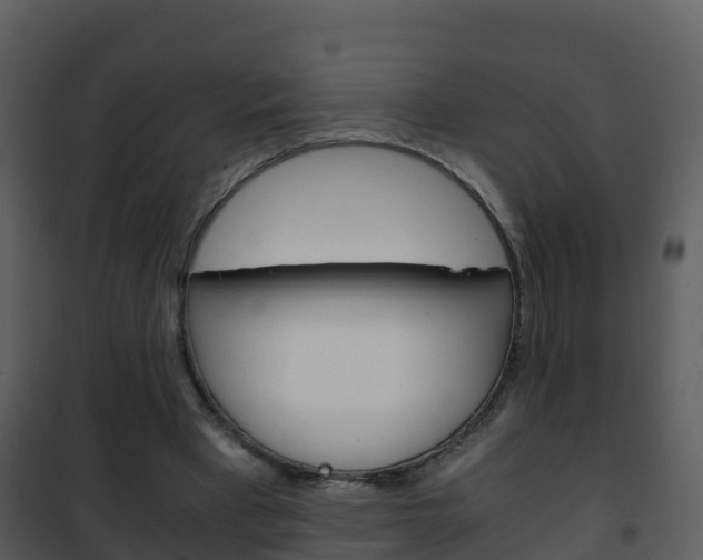 X0000101990393200807180830