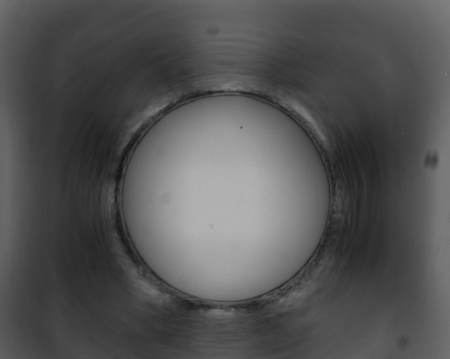X0000101990394200807180830