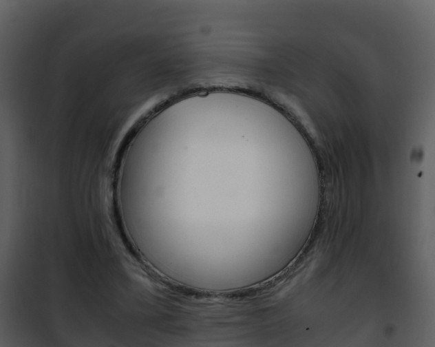 X0000101990395200807180830