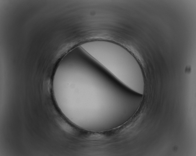 X0000101990397200807180830