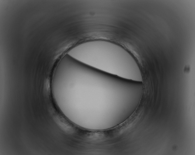 X0000101990398200807180830