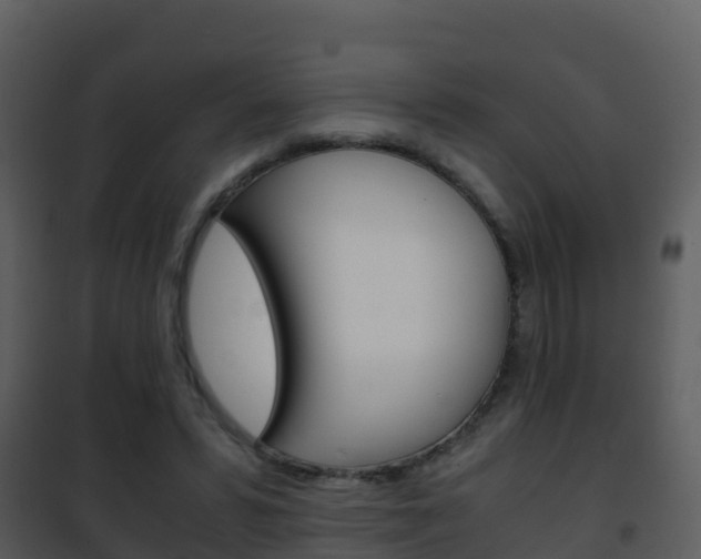 X0000101990399200807180830