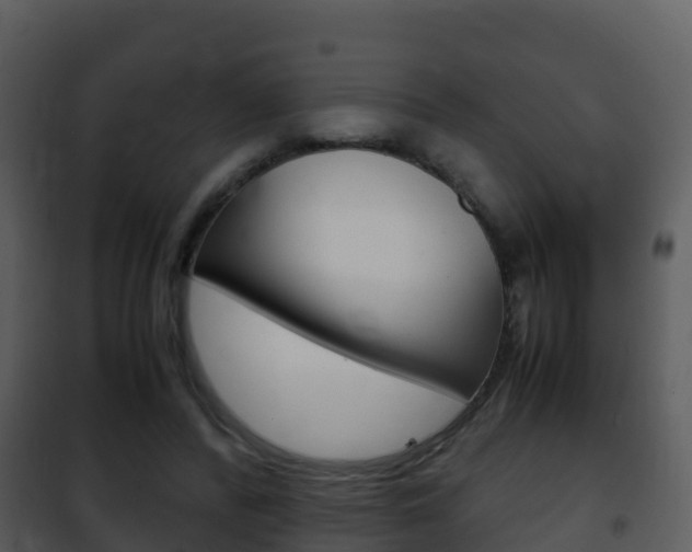 X0000101990400200807180830