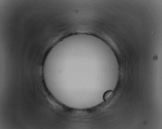 X0000101990401200807180830