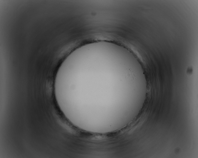 X0000101990402200807180830