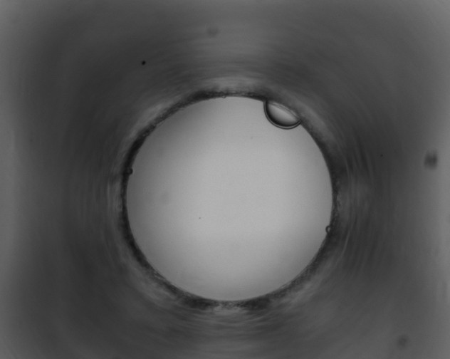 X0000101990403200807180830