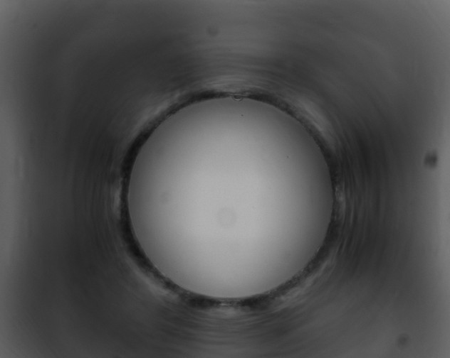 X0000101990404200807180830