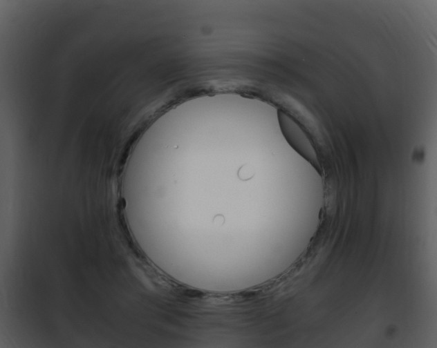 X0000101990405200807180830