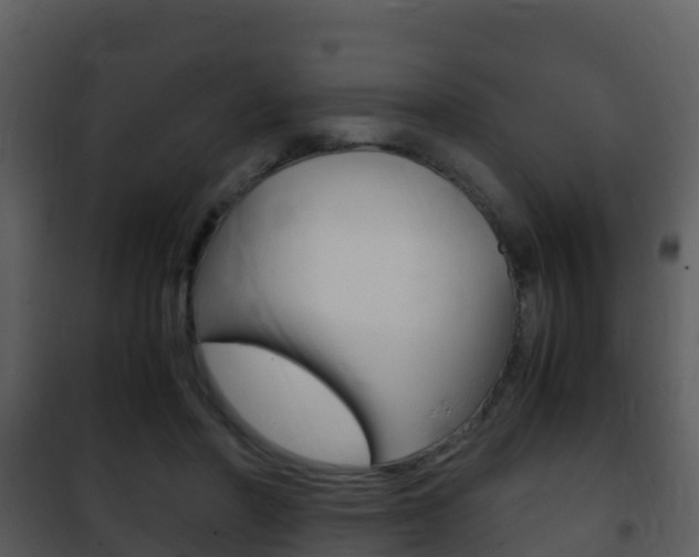 X0000101990406200807180830