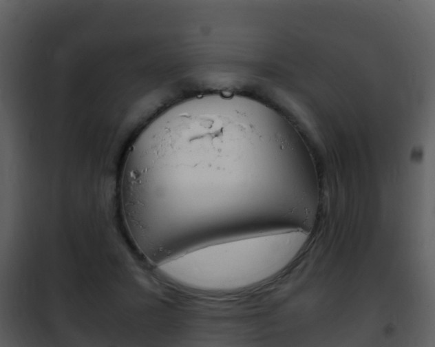 X0000101990407200807180829