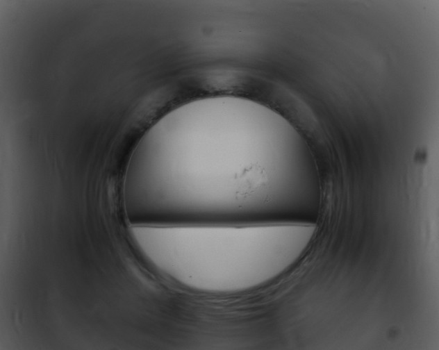 X0000101990408200807180829