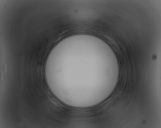 X0000101990409200807180829