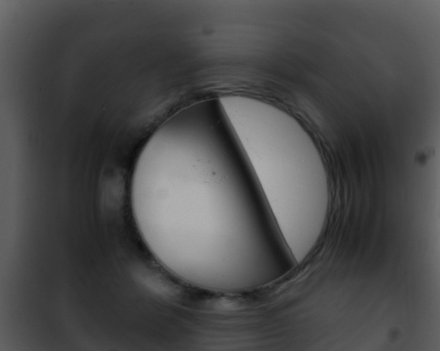 X0000101990412200807180829