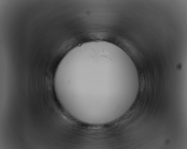 X0000101990414200807180829