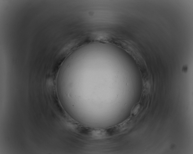 X0000101990415200807180829