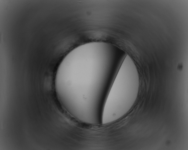 X0000101990416200807180829
