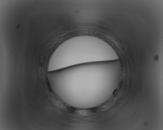 X0000101990417200807180829