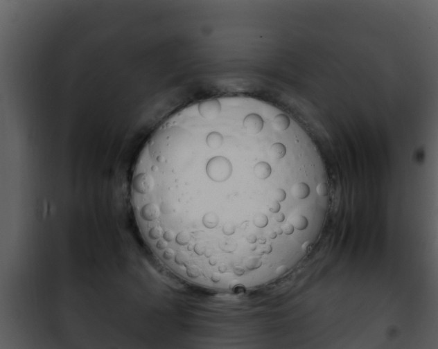 X0000101990418200807180829