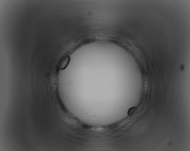 X0000101990419200807180829