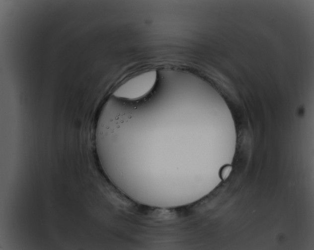 X0000101990421200807180829