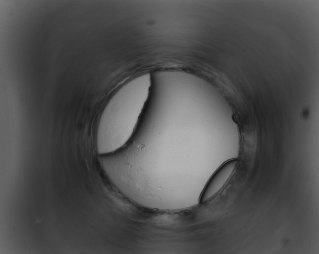 X0000101990422200807180829
