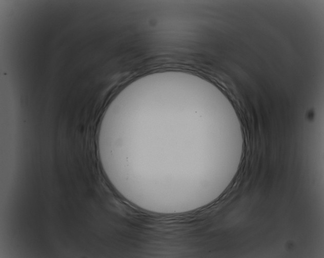 X0000101990423200807180829