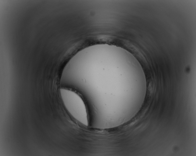 X0000101990424200807180829