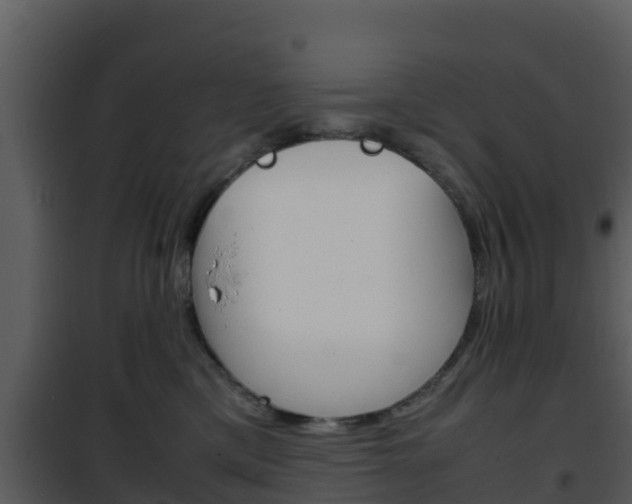 X0000101990425200807180829