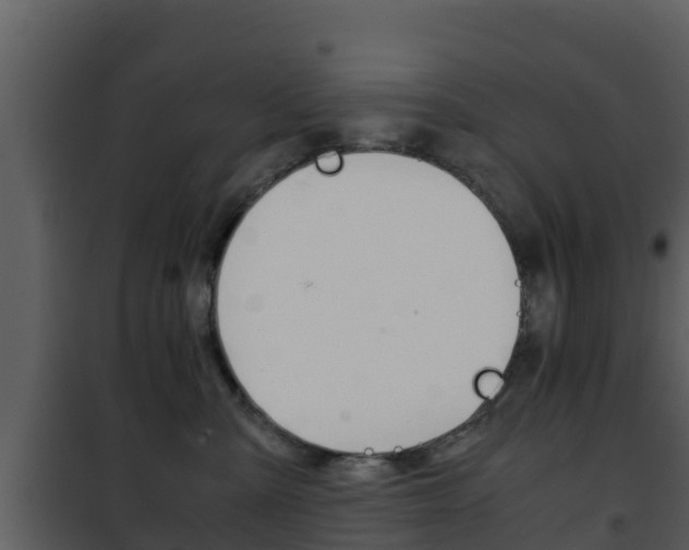 X0000101990427200807180829