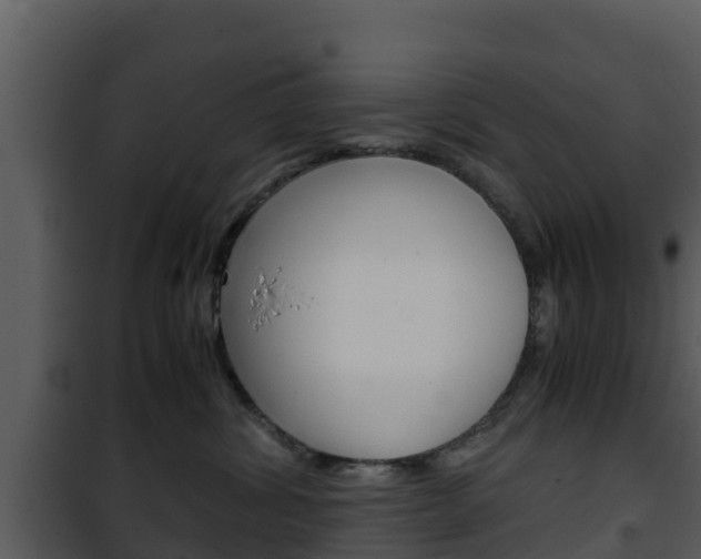 X0000101990428200807180829