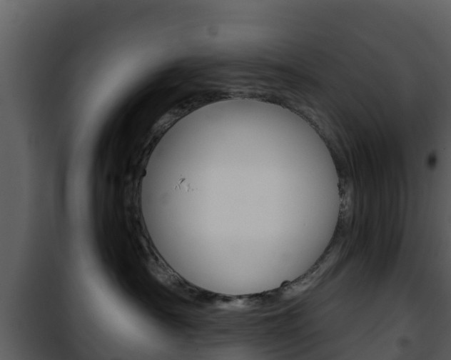 X0000101990430200807180829