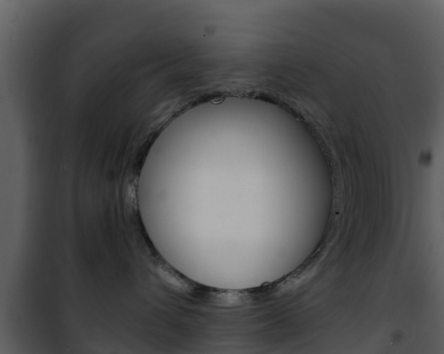 X0000101990432200807180829