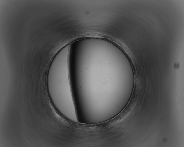 X0000101990433200807180828
