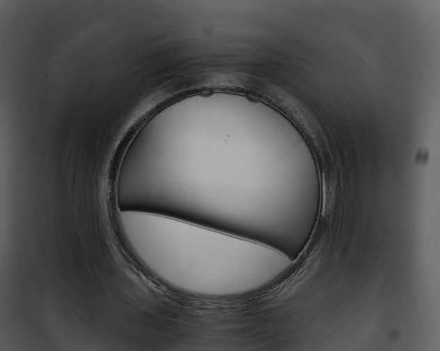 X0000101990435200807180829