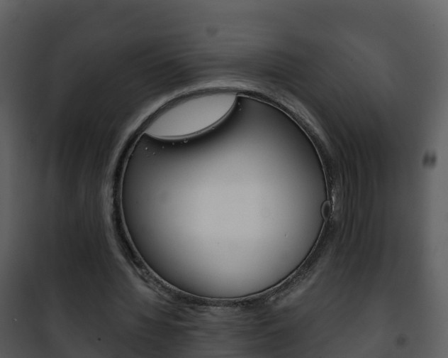 X0000101990436200807180829