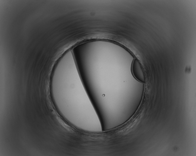 X0000101990437200807180829