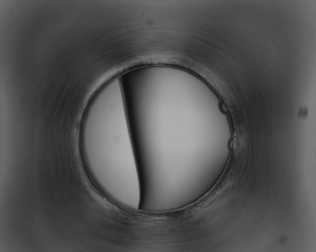 X0000101990438200807180829