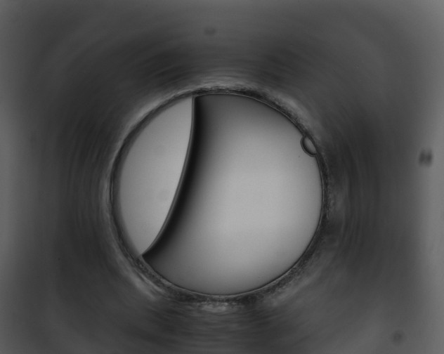 X0000101990439200807180829