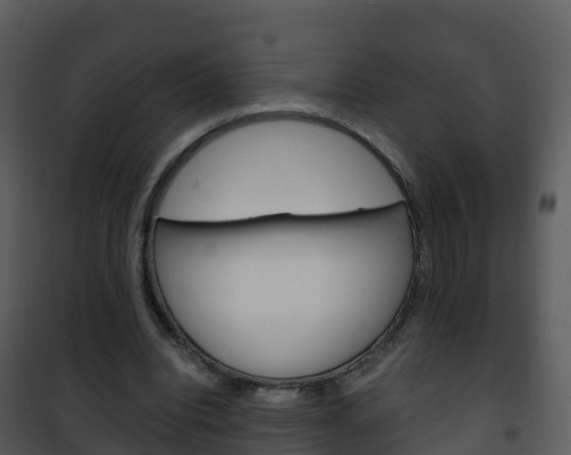 X0000101990440200807180829