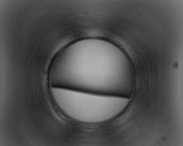 X0000101990443200807180829