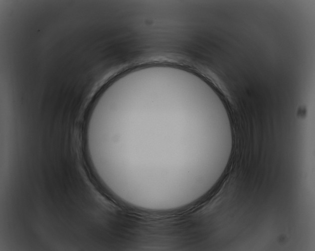 X0000101990444200807180829