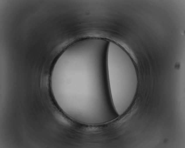 X0000101990445200807180829